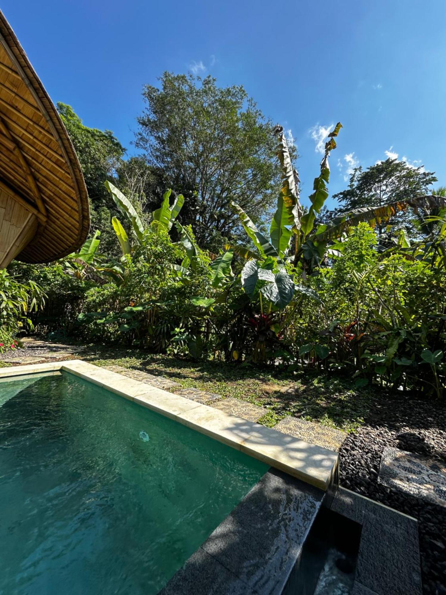 Bamboo House - Ecobreeze Villa Sidemen  Ngoại thất bức ảnh